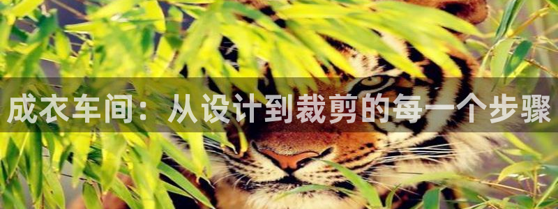 利记手机官网
