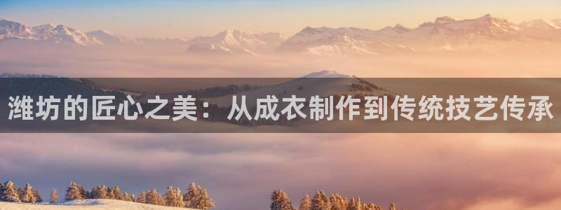 利记 利记官网