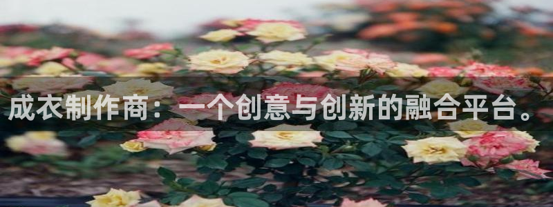 利记 官网