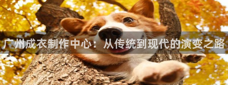 利记 利记官网