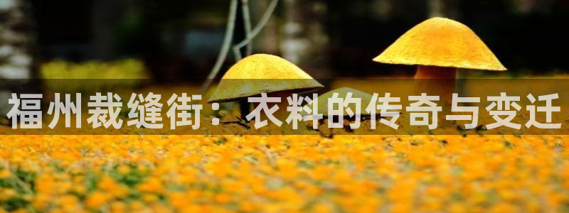 利记体育官网地址