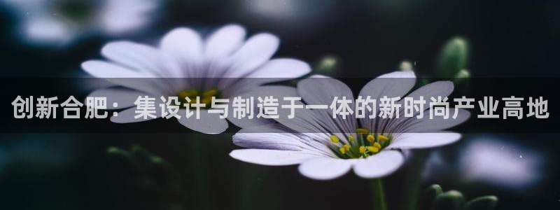 万利记官方旗舰店官网