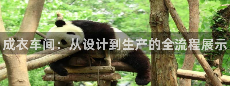 利记彩票平台官网
