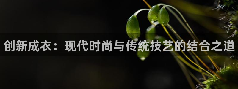 利记科技有限公司官网