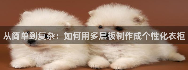 利记官网平台