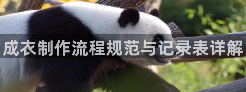 新利记官网