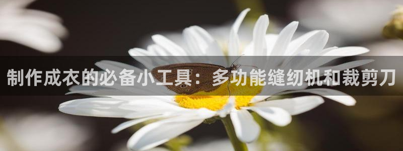 利记官网a