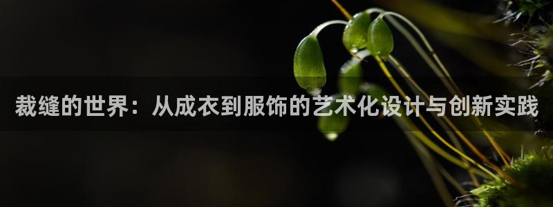 利记体育平台官网