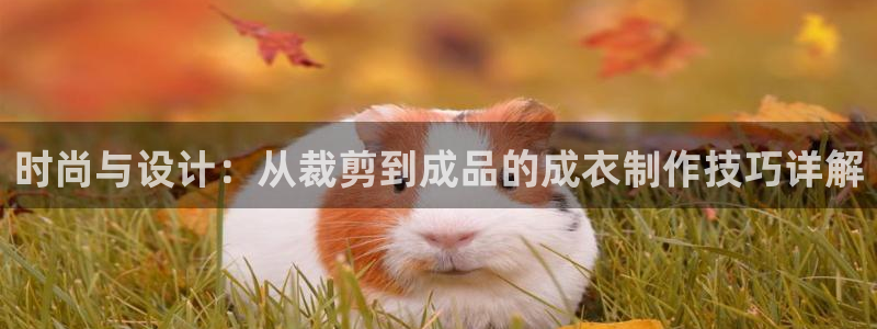 利记真的官网