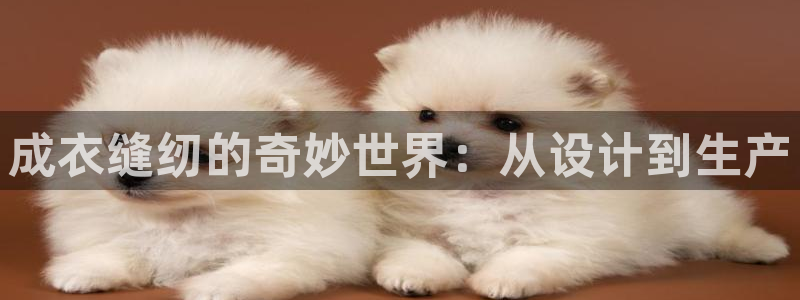 万利记唯一官网