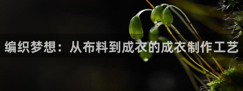 利记手机官网银河网