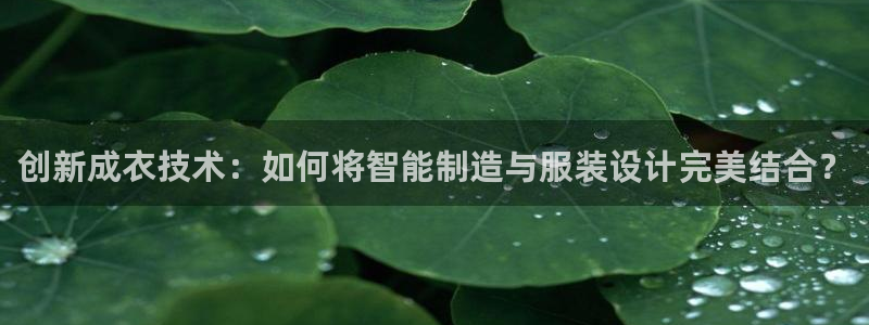 利记平台官网首页
