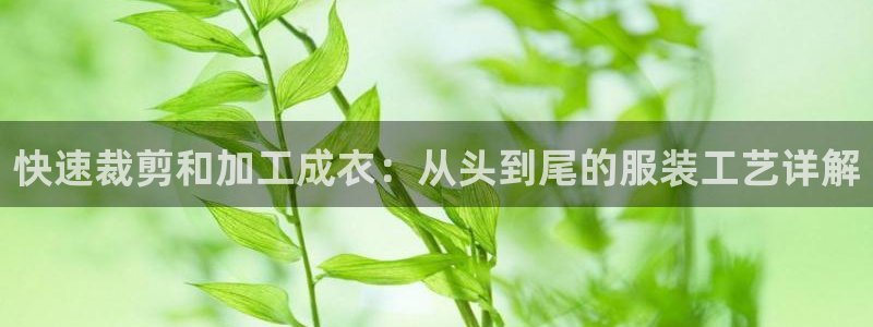 利记彩票官网wx678 com