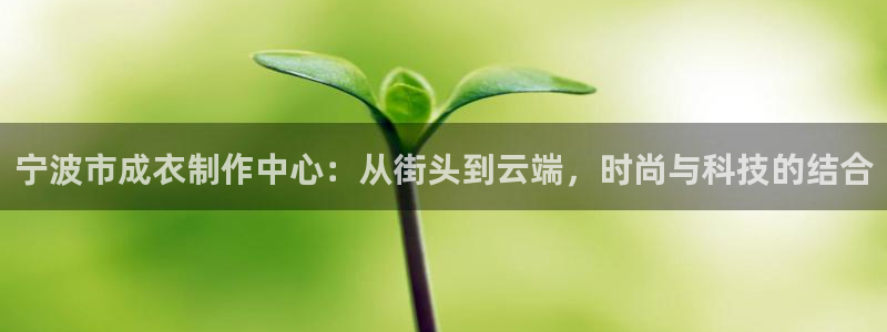 利记官网官方网站