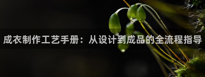 利记现场官网