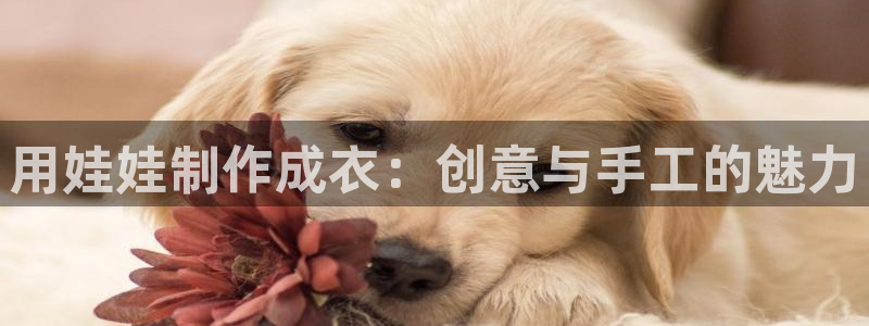 利记娱乐会员金钻官网