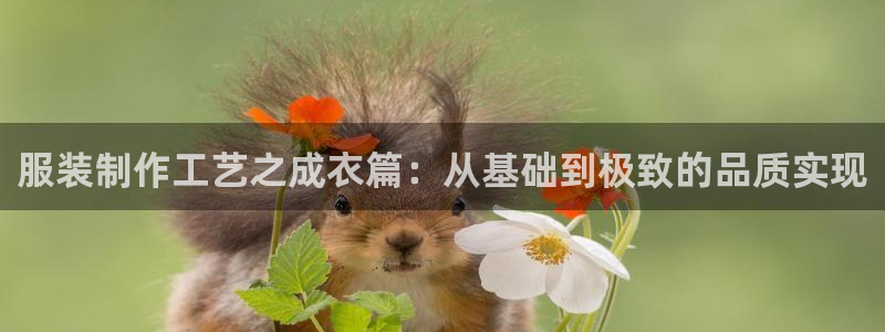 利记手机官网电子mg官方网站