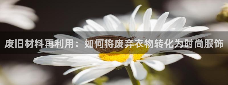 利记手机官网电子mg官方网站