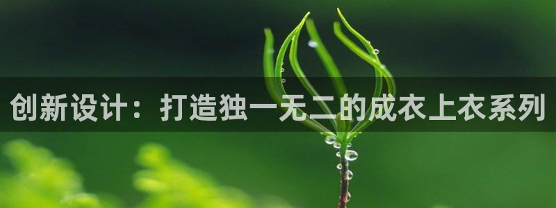 利记官网电脑版