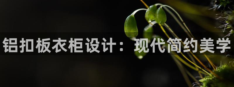 利记娱乐网唯一官网