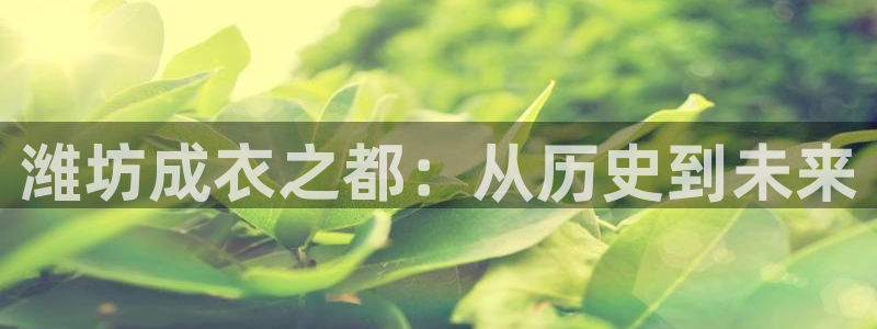 利记体育手机版官网